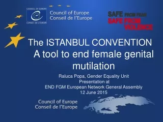 The ISTANBUL CONVENTION  A tool to end female genital mutilation