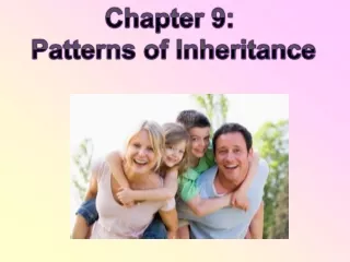 Chapter 9:  Patterns of Inheritance
