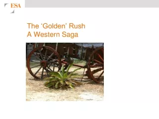 The ‘Golden’ Rush A Western Saga