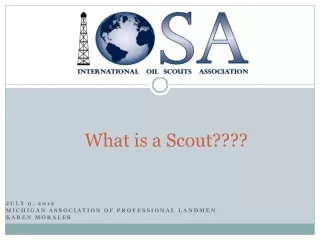 What is a Scout????
