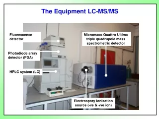 Micromass Quattro Ultima triple quadrupole mass spectrometric detector
