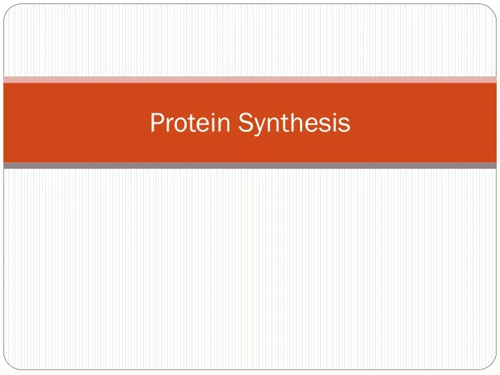 protein synthesis