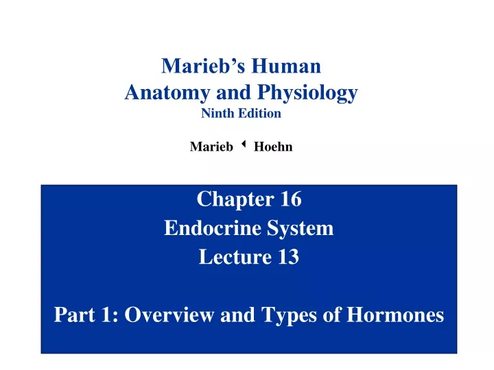 chapter 16 endocrine system lecture 13 part 1 overview and types of hormones