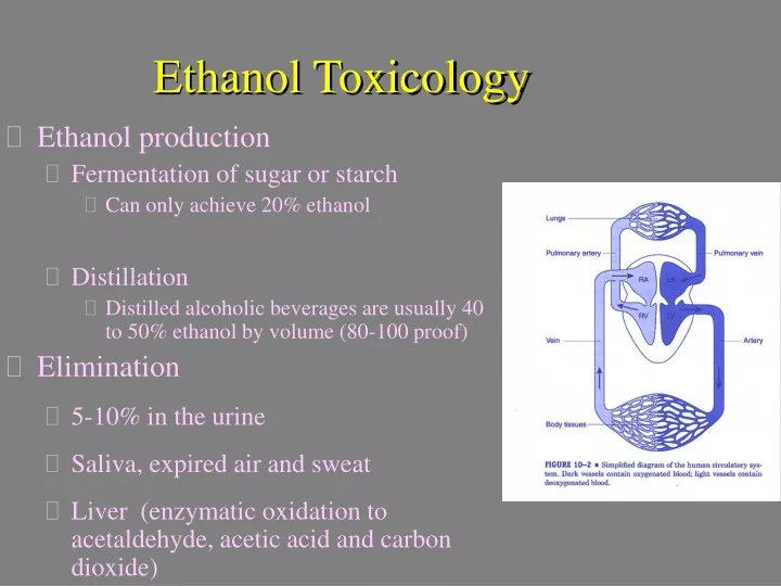 ethanol toxicology