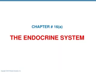 THE ENDOCRINE SYSTEM