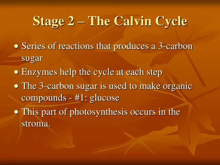 stage 2 the calvin cycle