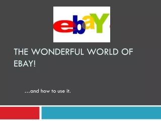 The Wonderful World of eBay!