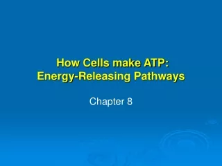 How Cells make ATP: Energy-Releasing Pathways