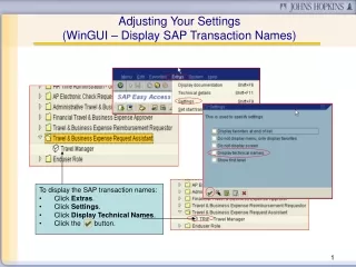 Adjusting Your Settings (WinGUI – Display SAP Transaction Names)
