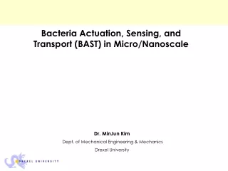 Bacteria Actuation, Sensing, and Transport (BAST) in Micro/Nanoscale