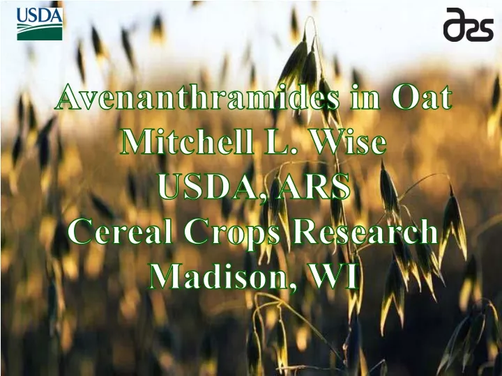 avenanthramides in oat mitchell l wise usda