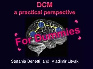 DCM  a practical perspective