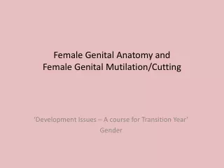 Female Genital Anatomy and  Female Genital Mutilation/Cutting