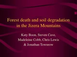 Forest death and soil degradation in the Jizera Mountains