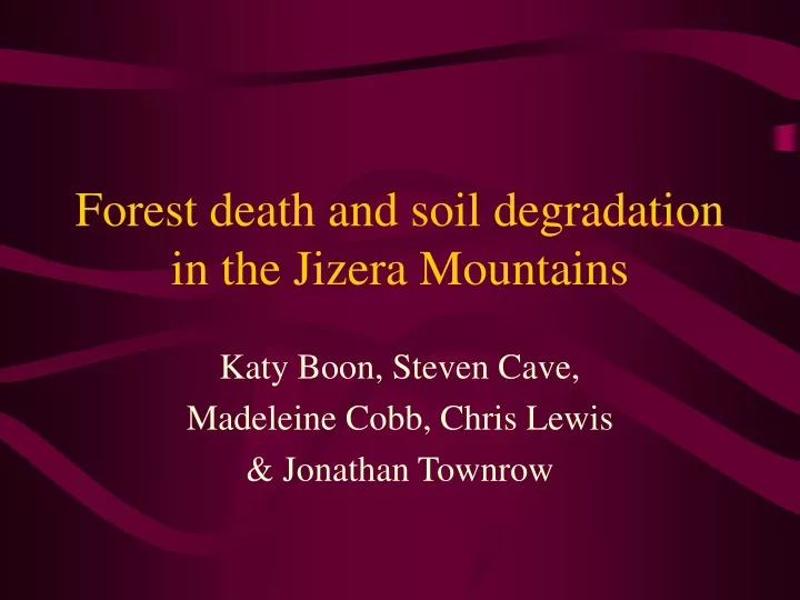 forest death and soil degradation in the jizera mountains
