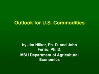Outlook for U.S. Commodities