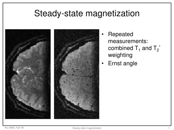 steady state magnetization