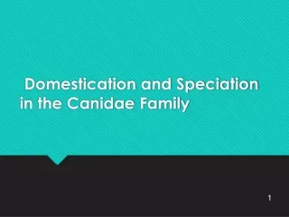 Domestication and Speciation in the  Canidae  Family