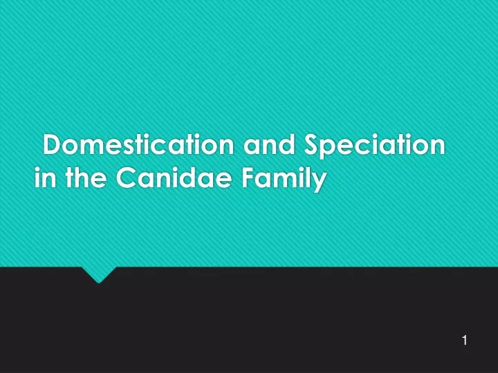 domestication and speciation in the canidae family