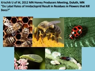 Krischik  U of M,  2012 MN Honey Producers Meeting, Duluth,  MN