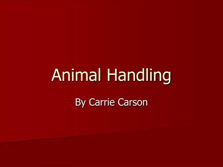 animal handling