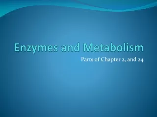 Enzymes and Metabolism