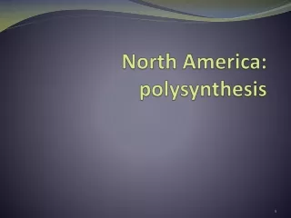 North America:  polysynthesis