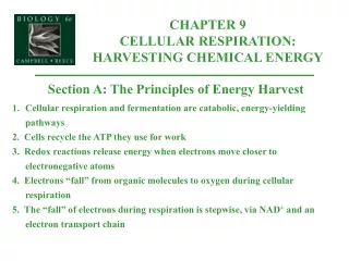 Section A: The Principles of Energy Harvest