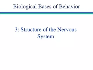 3: Structure of the Nervous System
