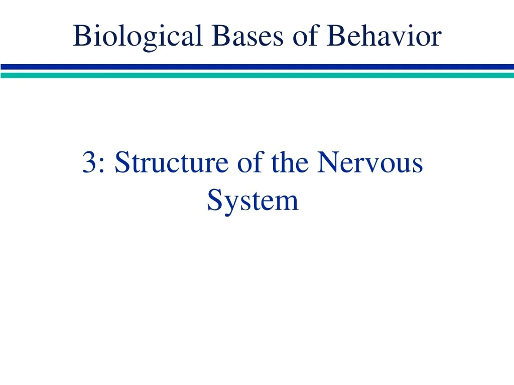 PPT - 3: Structure of the Nervous System PowerPoint Presentation, free ...
