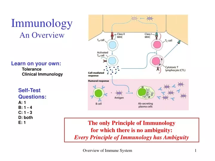 immunology an overview