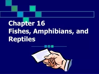 Chapter 16 Fishes, Amphibians, and Reptiles