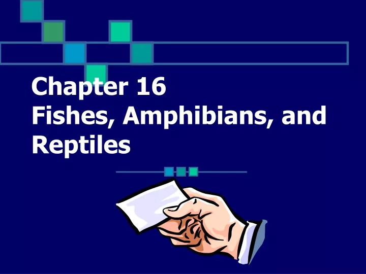 chapter 16 fishes amphibians and reptiles