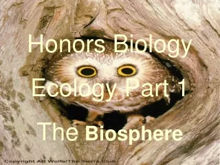 Honors Biology Ecology Part 1 The  Biosphere