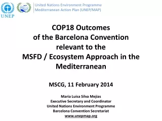 United Nations Environment  Programme Mediterranean Action Plan (UNEP/MAP)