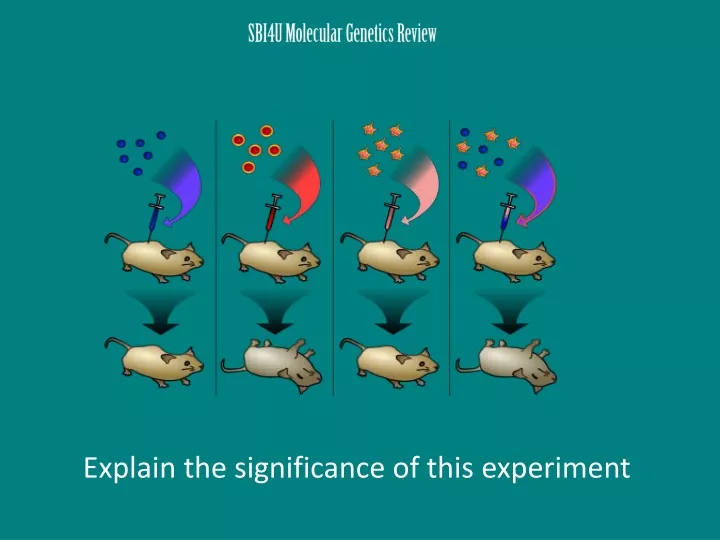 sbi4u molecular genetics review