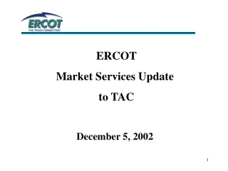 ERCOT  Market Services Update  to TAC December 5, 2002
