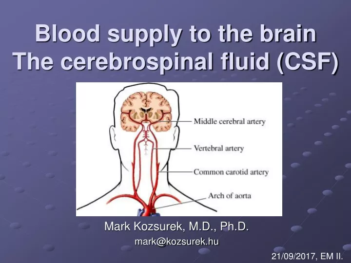 blood supply to the brain the cerebrospinal fluid csf