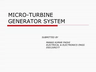 MICRO-TURBINE GENERATOR SYSTEM