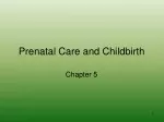 PPT - Prenatal Care PowerPoint Presentation, Free Download - ID:4523570