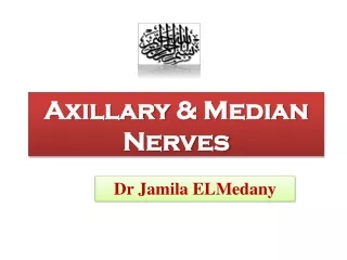 Axillary  &amp; Median Nerves