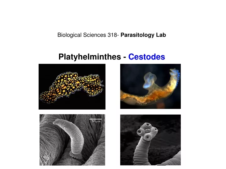 biological sciences 318 parasitology