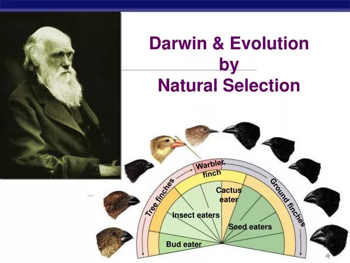darwin evolution by natural selection