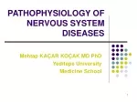 Nervous System Diseases: A Comprehensive Overview - slide 1