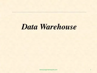 Data Warehouse