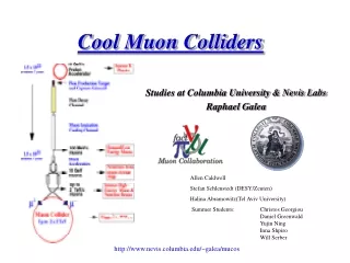 Cool Muon Colliders