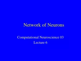 Network of Neurons