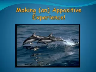 Making  (an)  Appositive Experience!