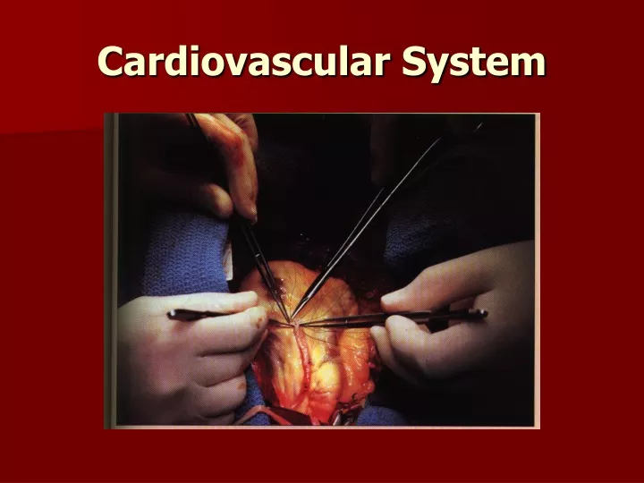 cardiovascular system