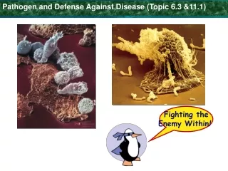 Pathogen and Defense Against Disease (Topic 6.3 &amp;11.1)